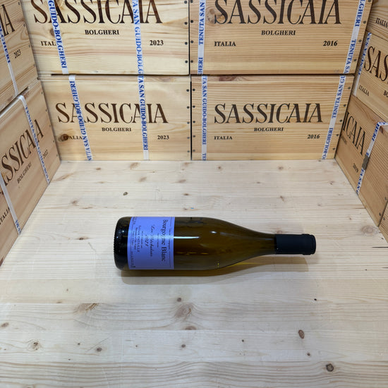 Bourgogne Blanc 2023 Les Mechalots Sylvain Pataille