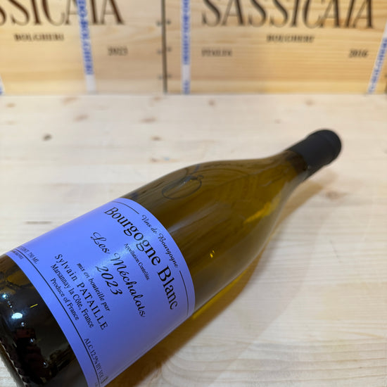 Bourgogne Blanc 2023 Les Mechalots Sylvain Pataille