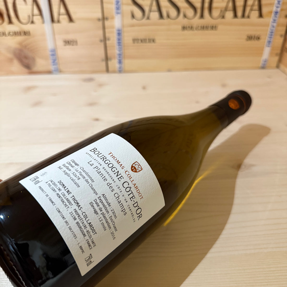 Bourgogne Blanc La Plante des Champs 2021 Thomas-Collardot