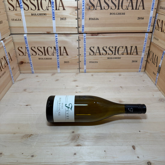 Bourgogne Chardonnay 2023 Nathalie & Gilles Fevre