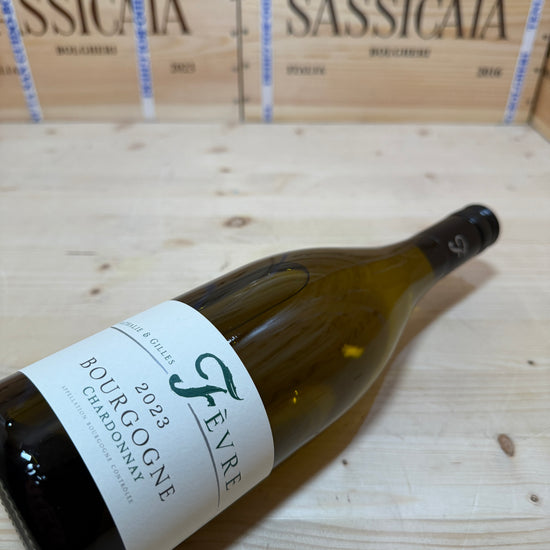 Bourgogne Chardonnay 2023 Nathalie & Gilles Fevre