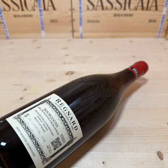 Bourgogne Pinot Noir 2025 Regnard