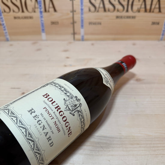 Bourgogne Pinot Noir 2025 Regnard