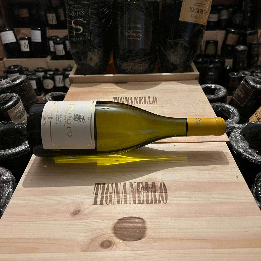 Bramito della Sala 2023 Castello della Sala Marchesi Antinori