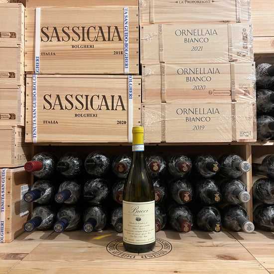 Bucci 2023 Villa Bucci Verdicchio dei Castelli di Jesi DOC Classico Superiore