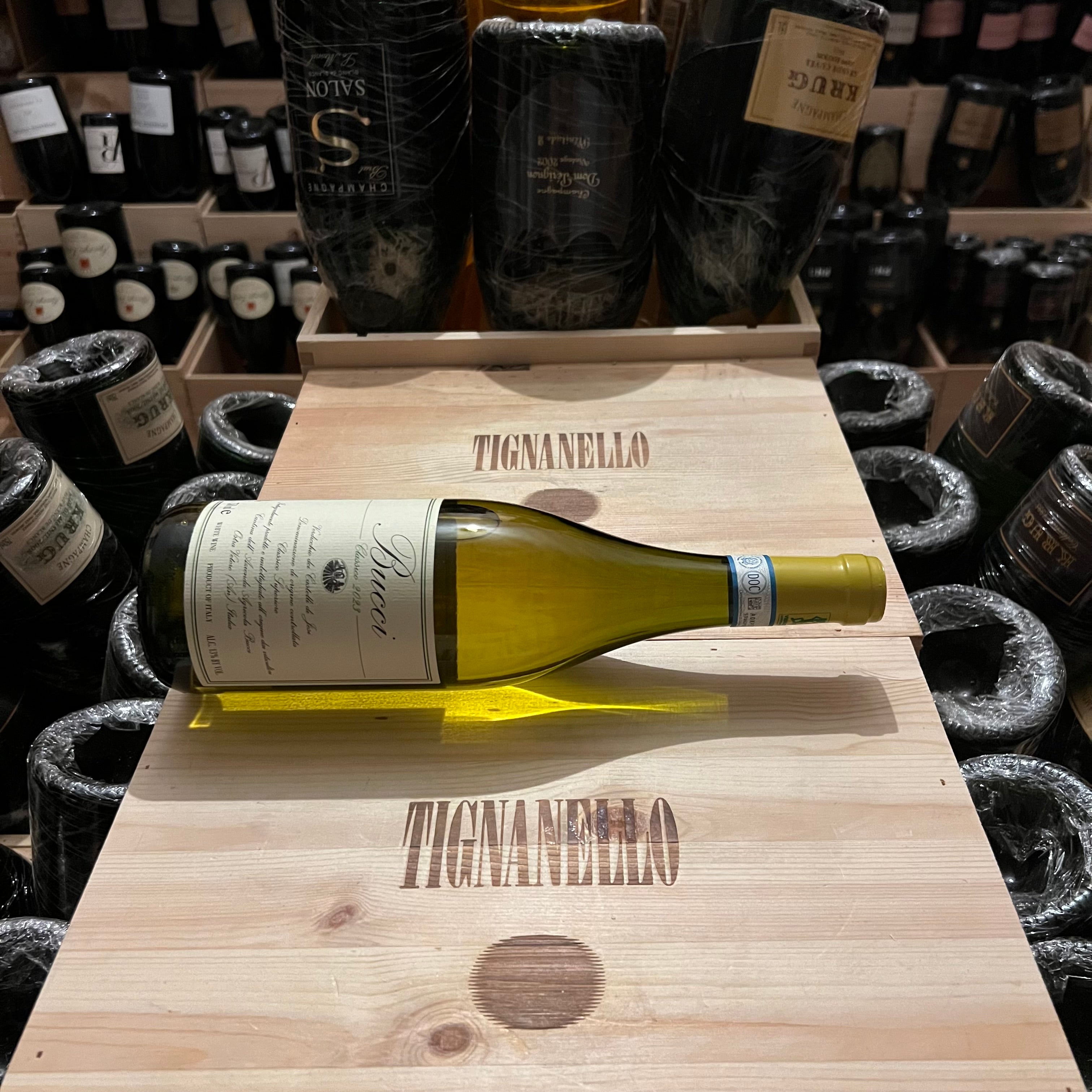 Bucci 2023 Villa Bucci Verdicchio dei Castelli di Jesi DOC Classico Superiore