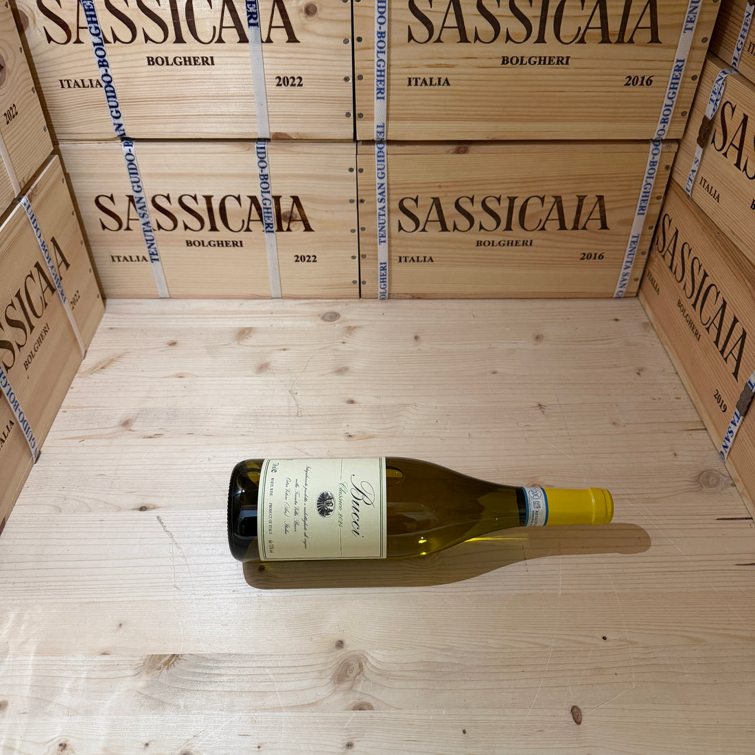 Bucci 2024 Villa Bucci Verdicchio dei Castelli di Jesi DOC Classico Superiore