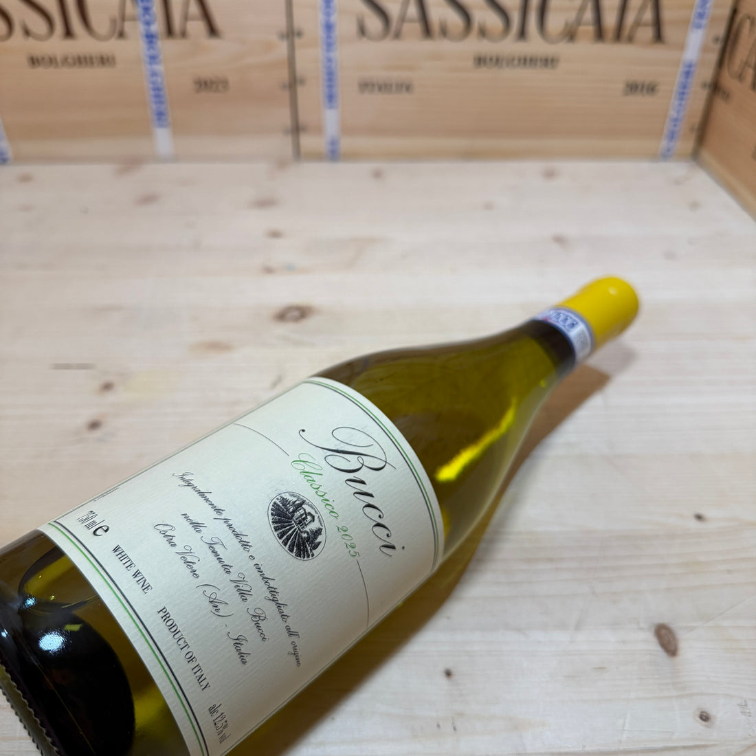 Bucci 2025 Villa Bucci Verdicchio