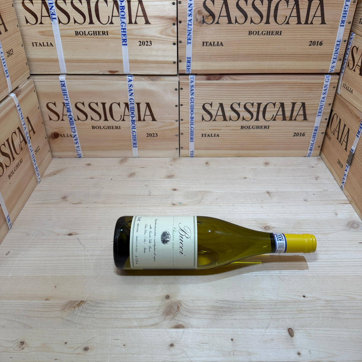 Bucci 2025 Villa Bucci Verdicchio