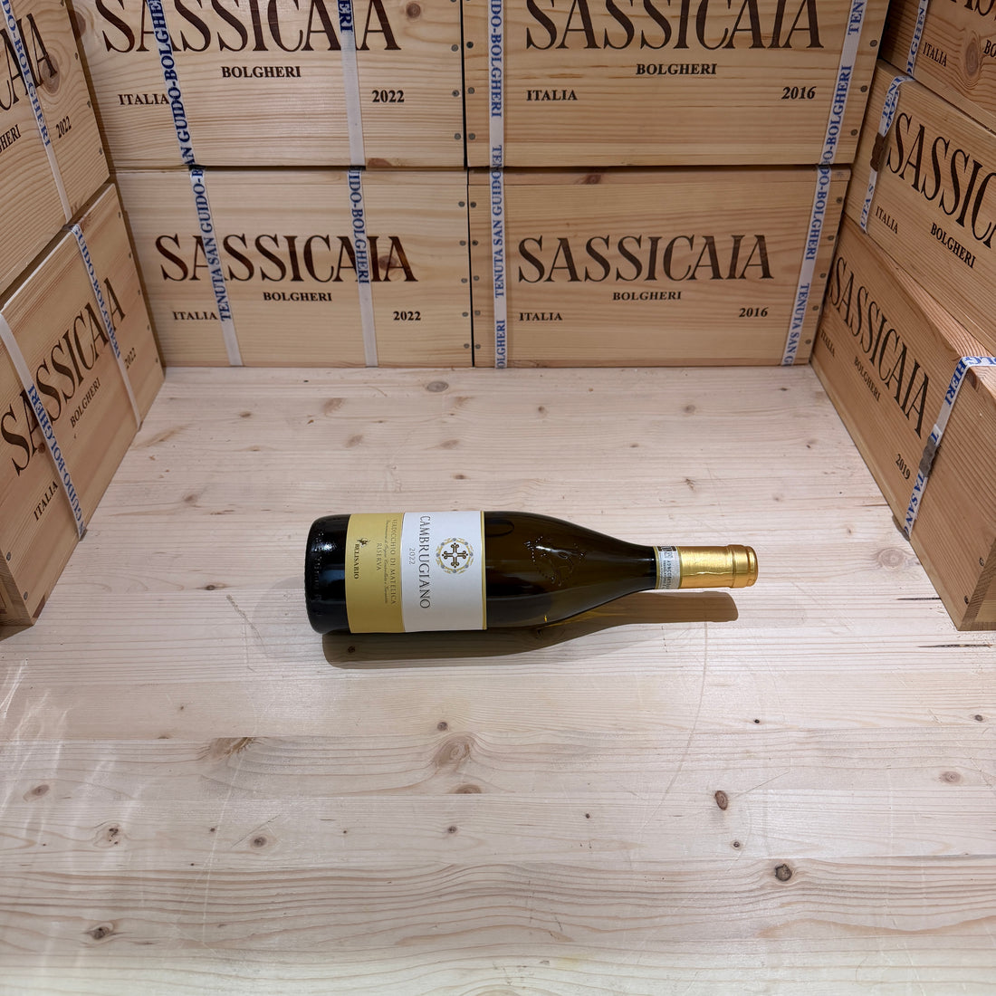 Cambrugiano 2022 Belisario