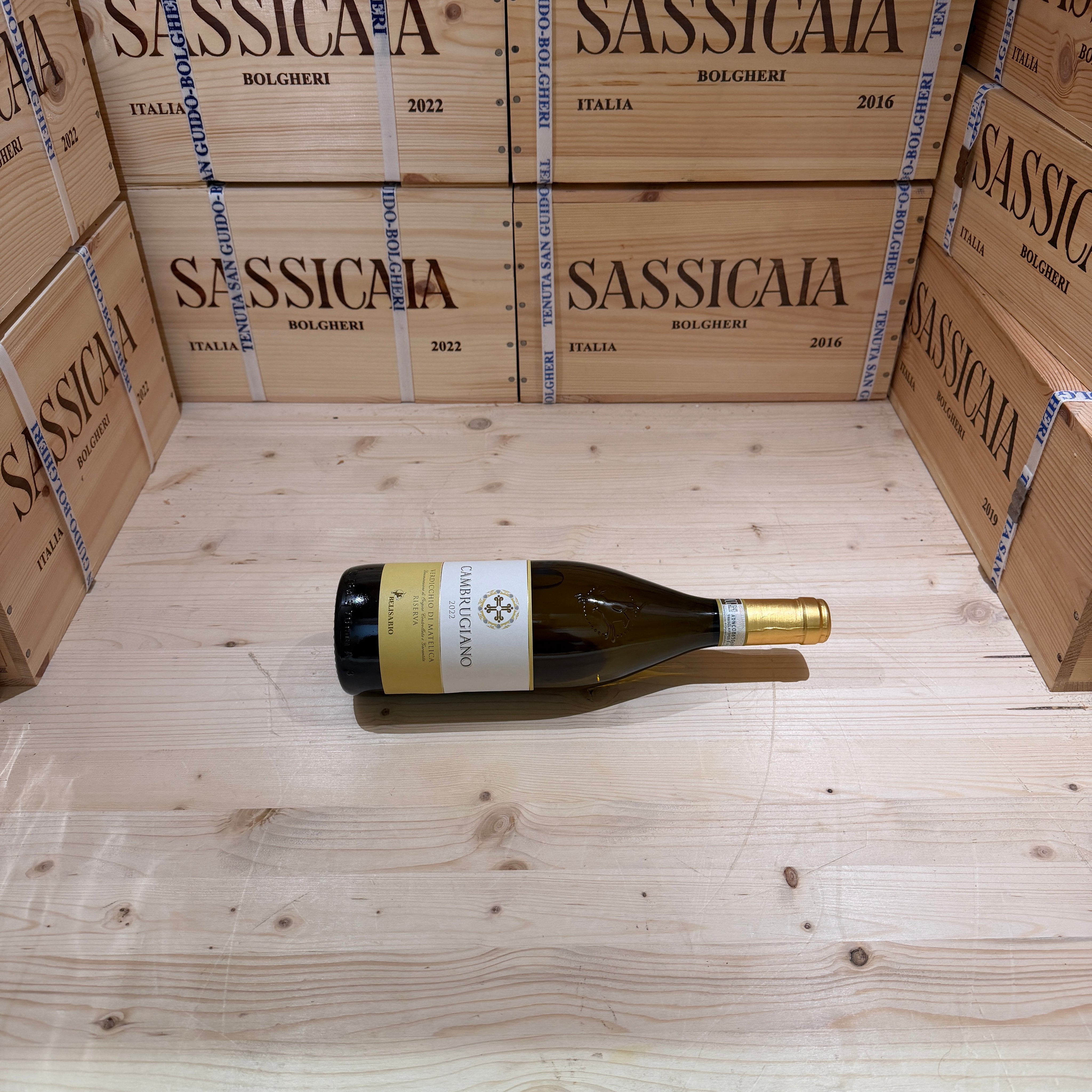 Cambrugiano 2022 Belisario