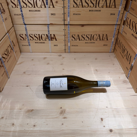 Camillo 2023 Bolgheri DOC Bianco Tenuta Guado al Tasso - Marchesi Antinori