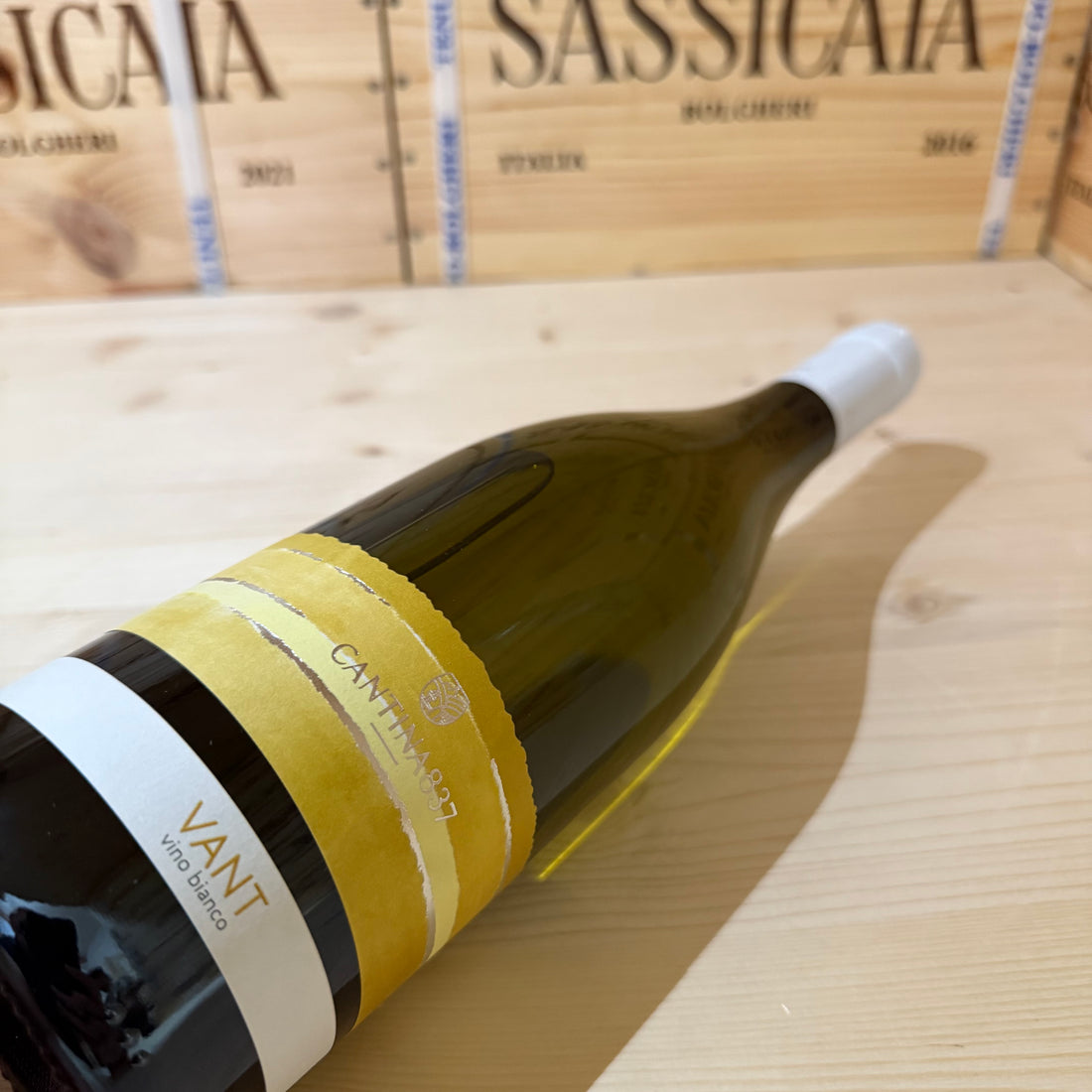 Cantina 837 Piwi Vant 2024