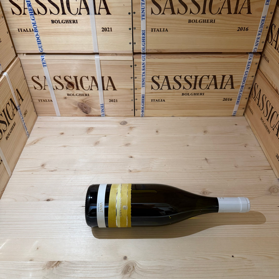 Cantina 837 Piwi Vant 2024