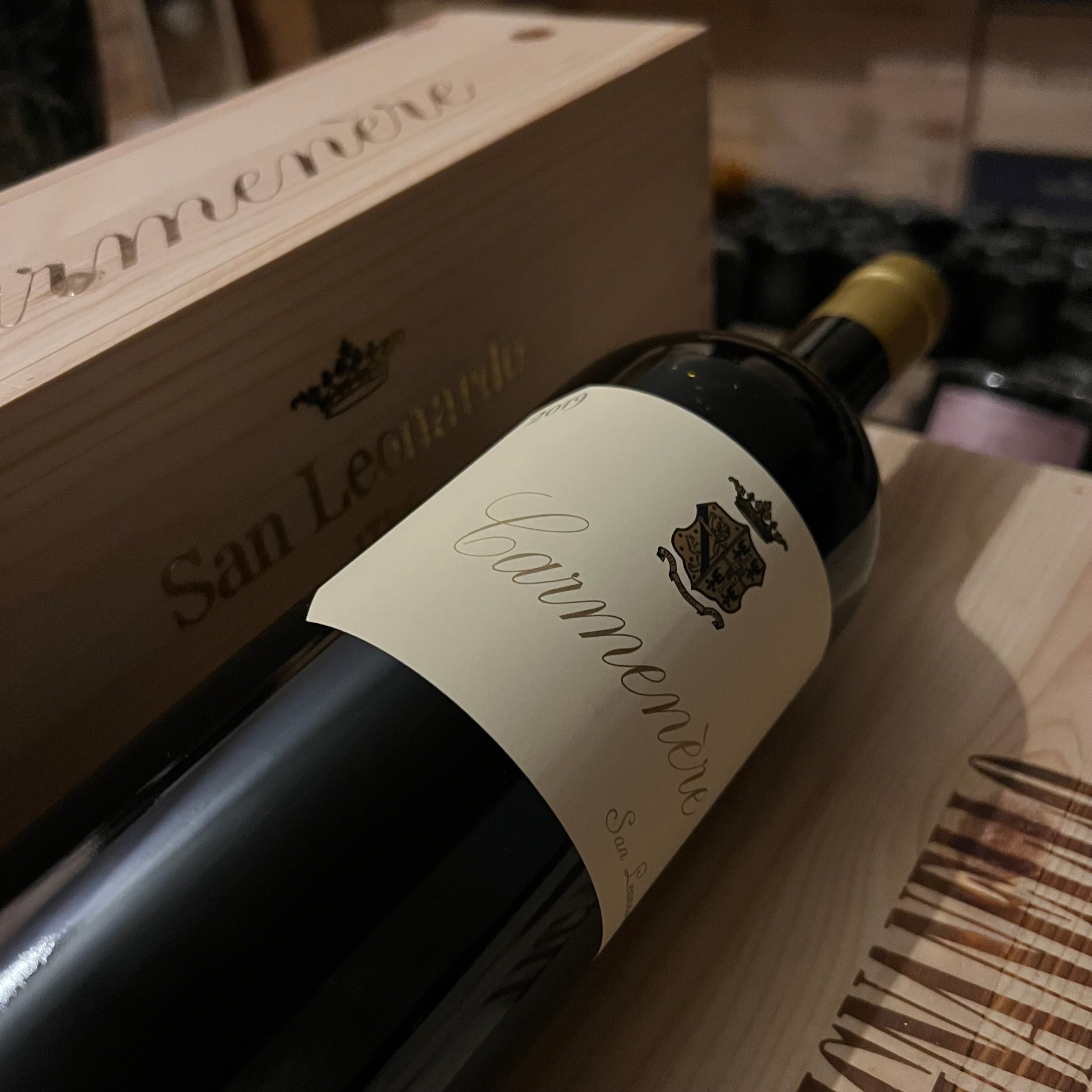 Carmenere 2019 Tenuta San Leonardo - in Cassa Legno