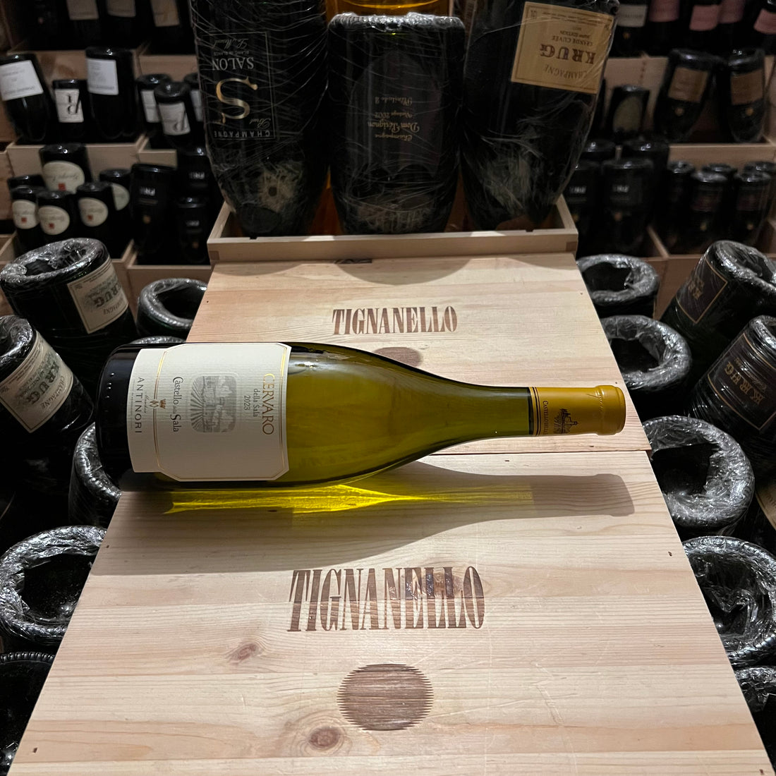 Cervaro della Sala 2023 Castello della Sala Marchesi Antinori