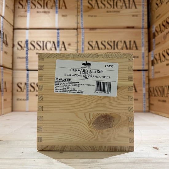 Cervaro della Sala 2024 Jeroboam Castello della Sala Marchesi Antinori - in Cassa Legno