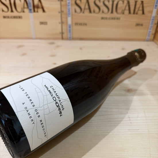Champagne Les Terres Des Reguins 2019 Maurice Choppin