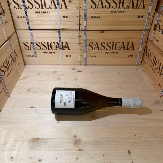 Champagne Pinotmaniac Les Riceys 2022 Coessens