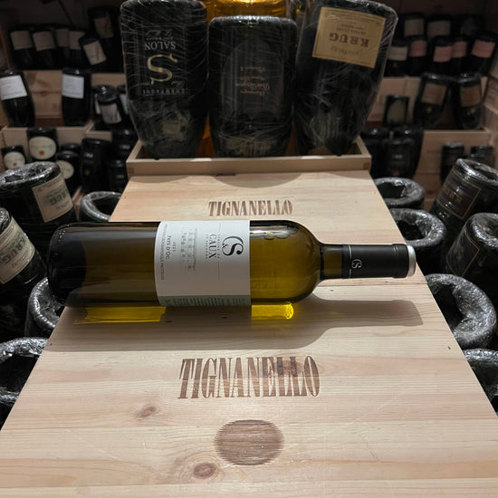 Chardonnay 2023 Domaine Caux et Sauzens