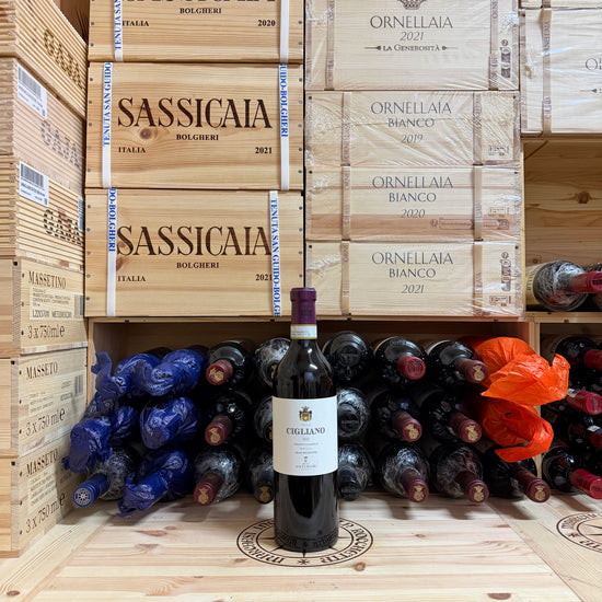 Chianti Villa Cigliano 2022