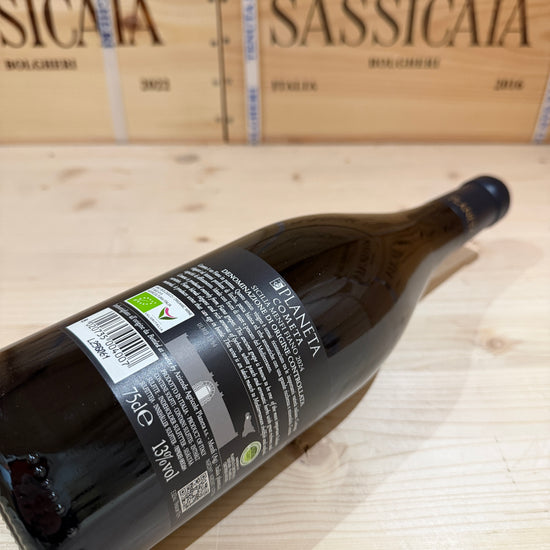 Cometa 2024 Planeta Sicilia Menfi Fiano