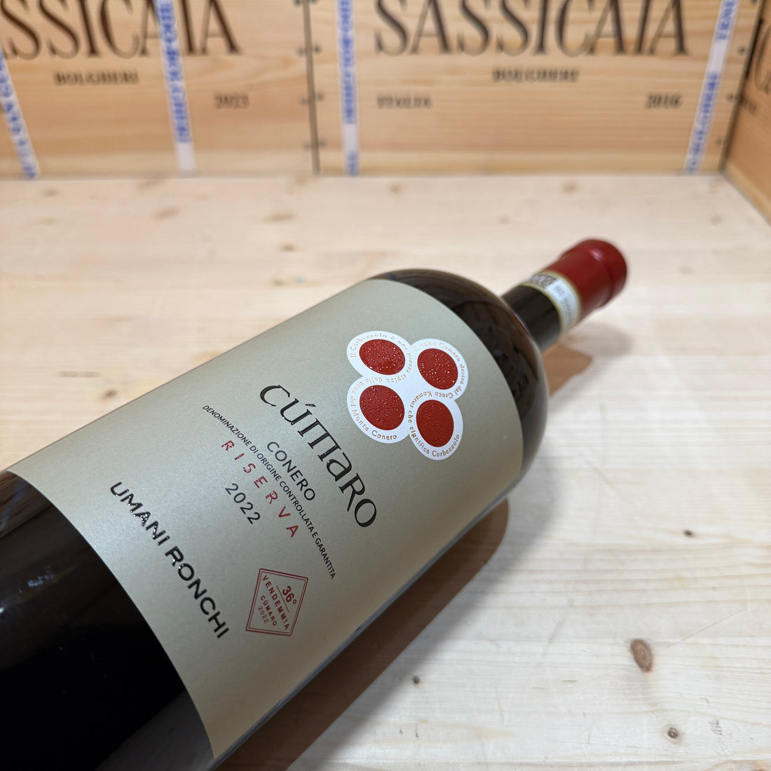 Cumaro 2022 Magnum