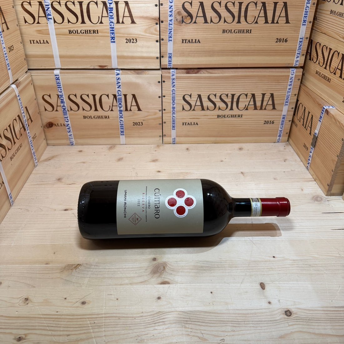 Cumaro 2022 Magnum