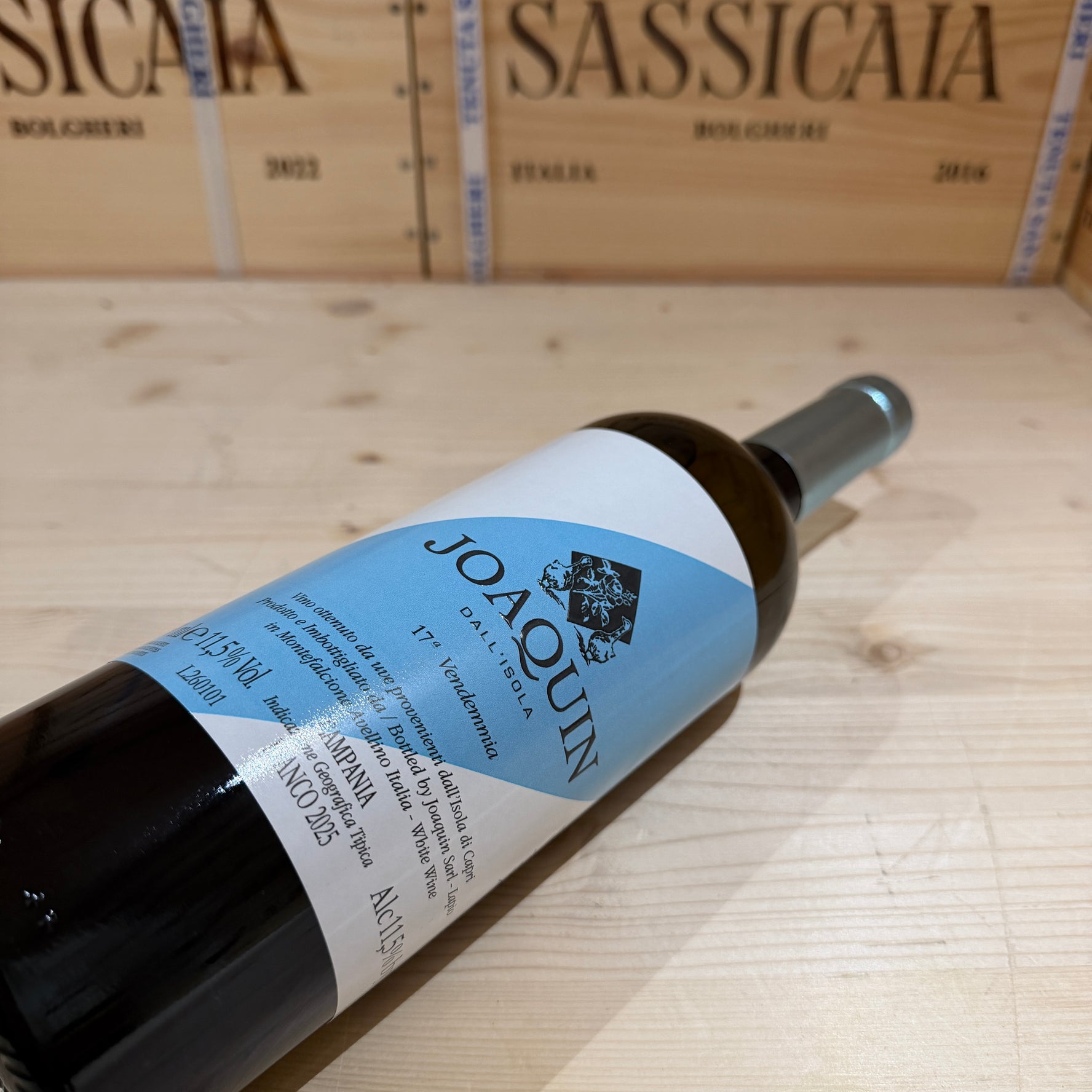 Dall'Isola Bianco 2025 Joaquin