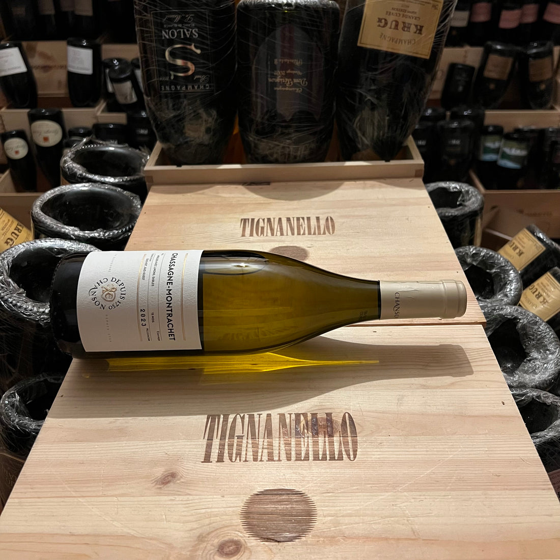 Domaine Chanson Chassagne Montrachet 2023