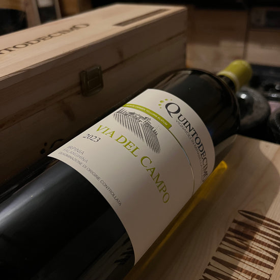 Falanghina Via del Campo 2023 Magnum Quintodecimo - in Cassa Legno