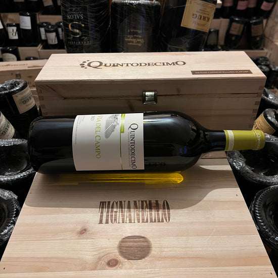 Falanghina Via del Campo 2023 Magnum Quintodecimo - in Cassa Legno