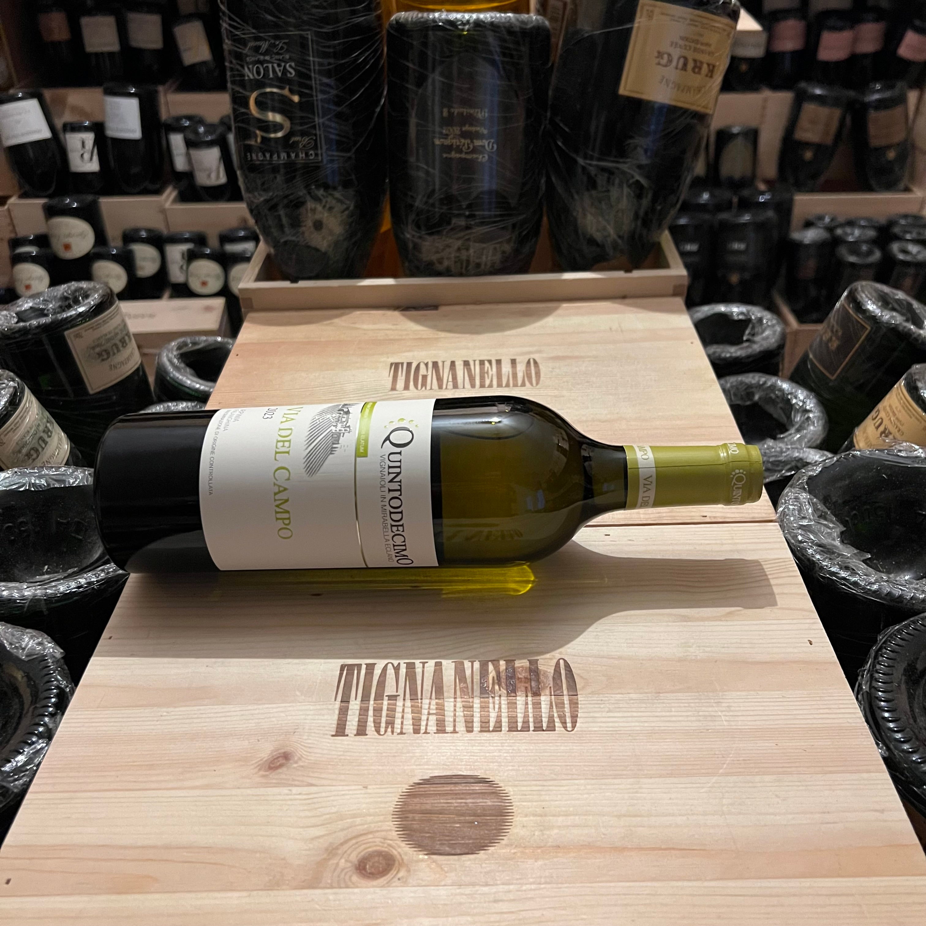 Falanghina Via del Campo 2023 Quintodecimo