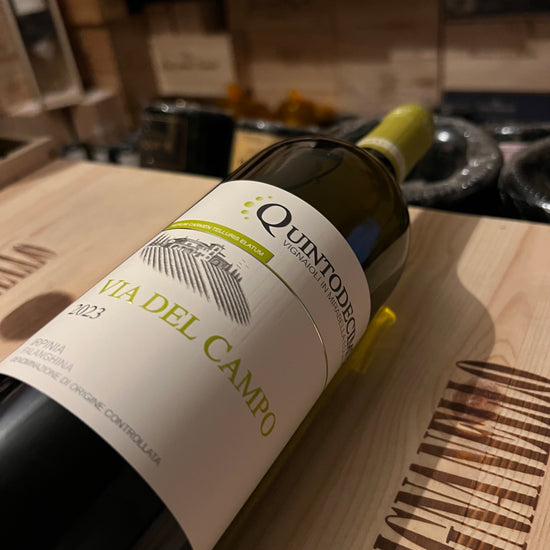 Falanghina Via del Campo 2023 Quintodecimo