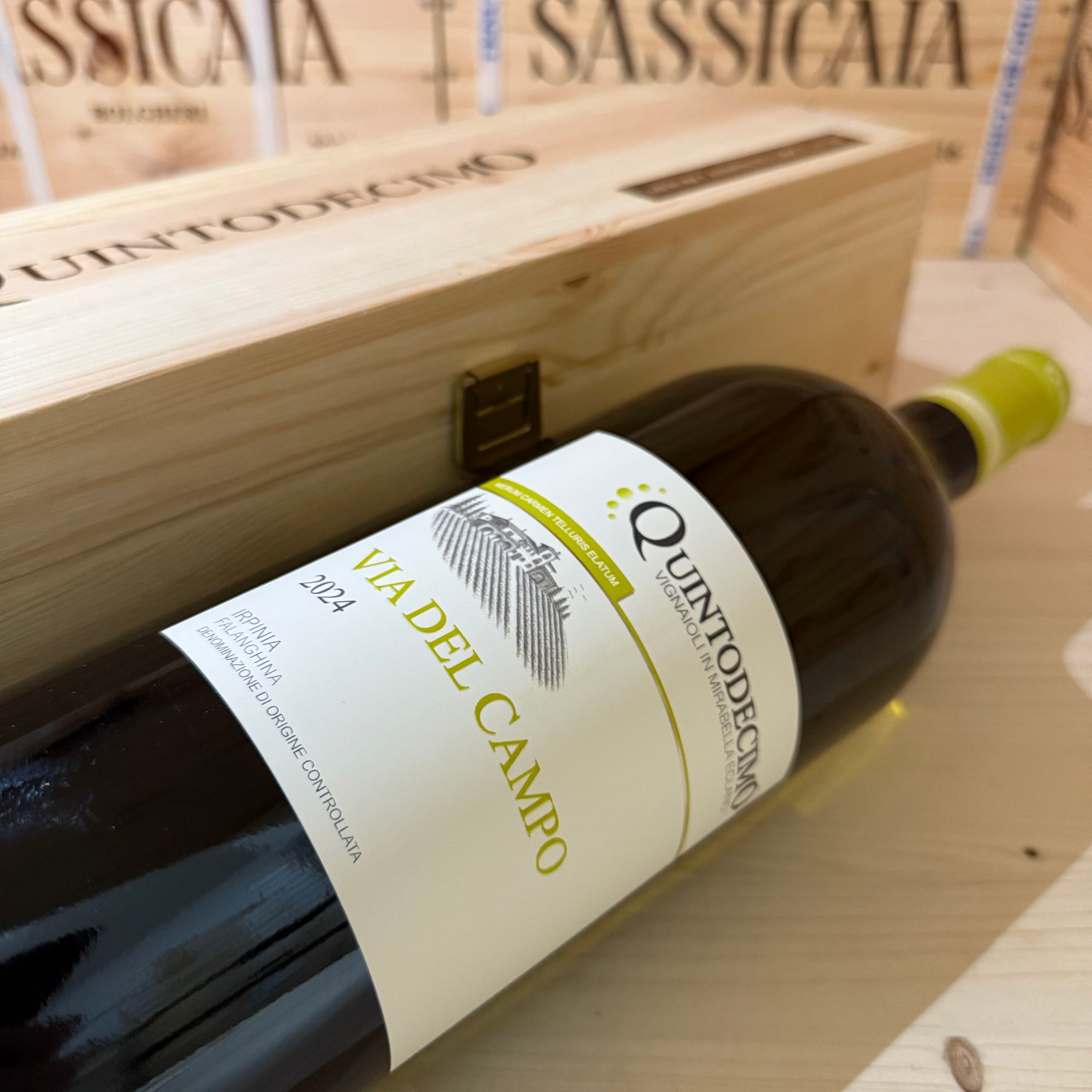 Falanghina Via del Campo 2024 Magnum Quintodecimo - in Cassa Legno