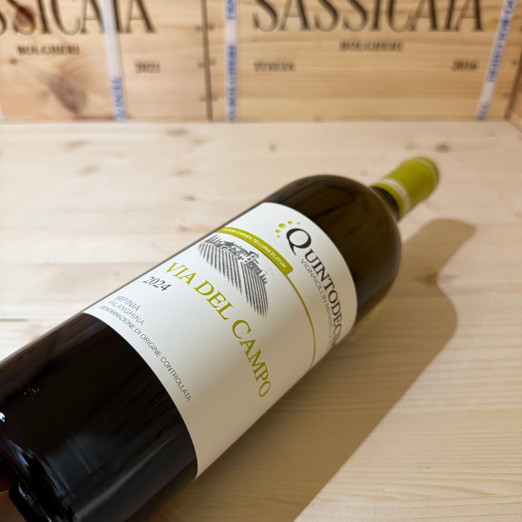 Falanghina Via del Campo 2024 Quintodecimo