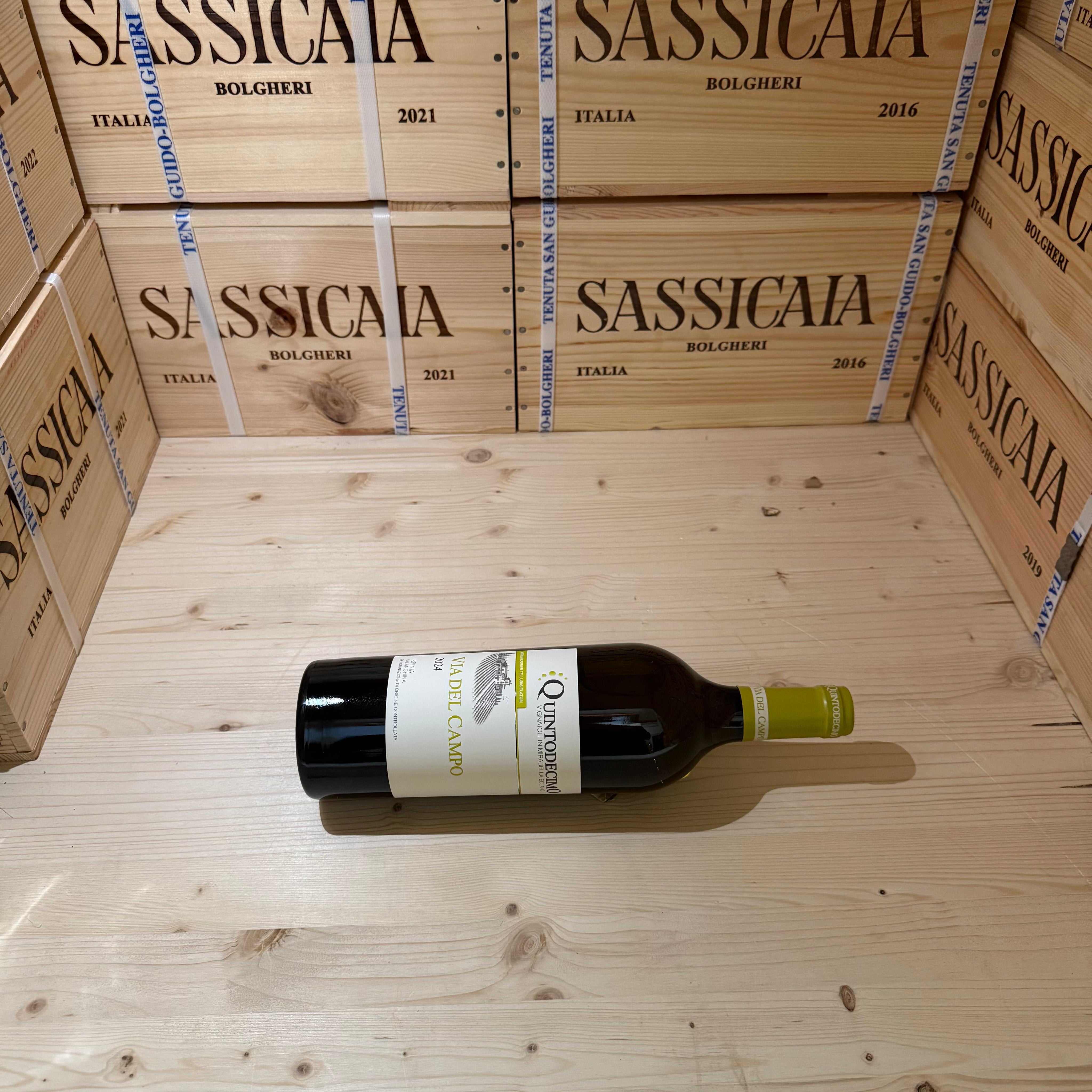 Falanghina Via del Campo 2024 Quintodecimo