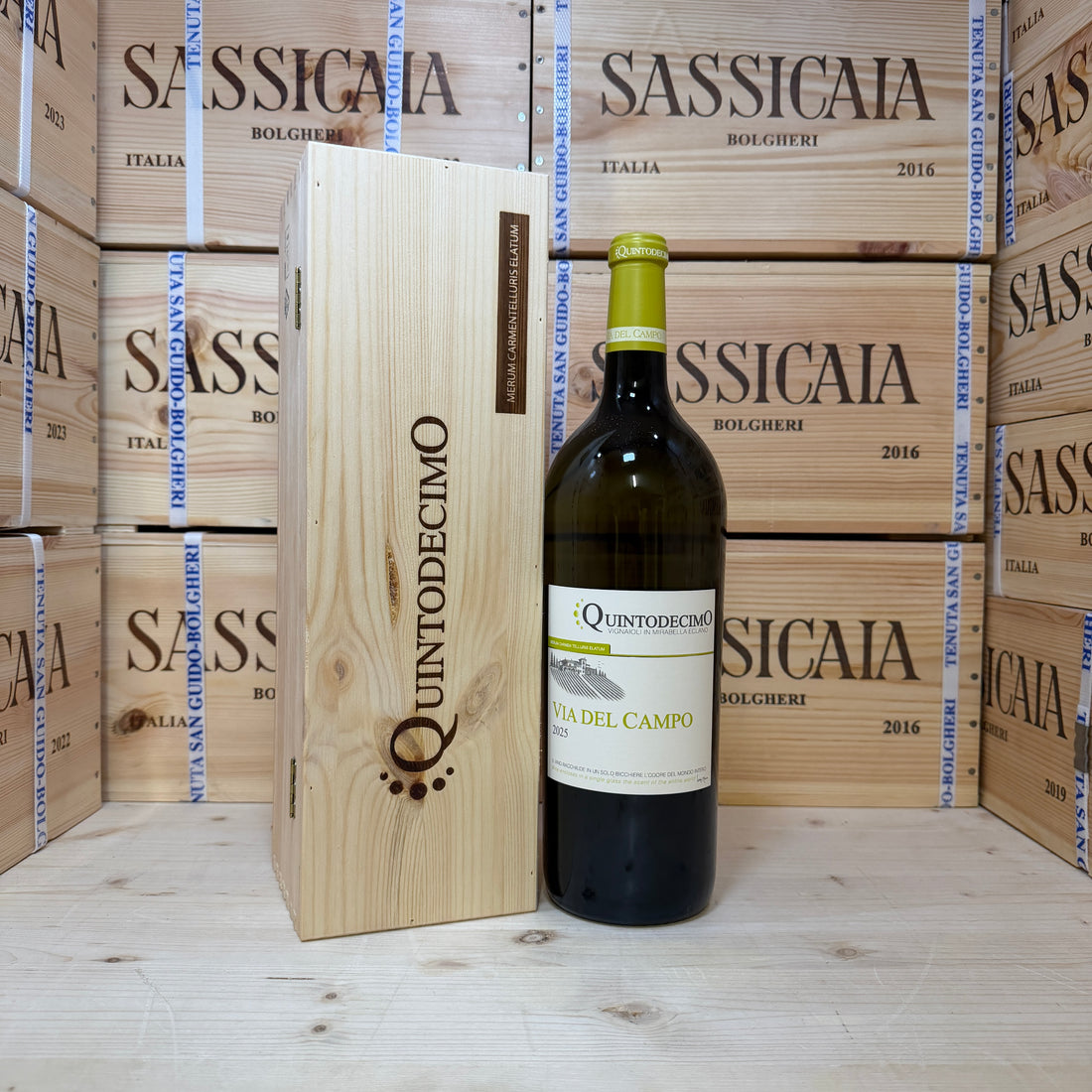 Falanghina Via del Campo 2025 Magnum Quintodecimo