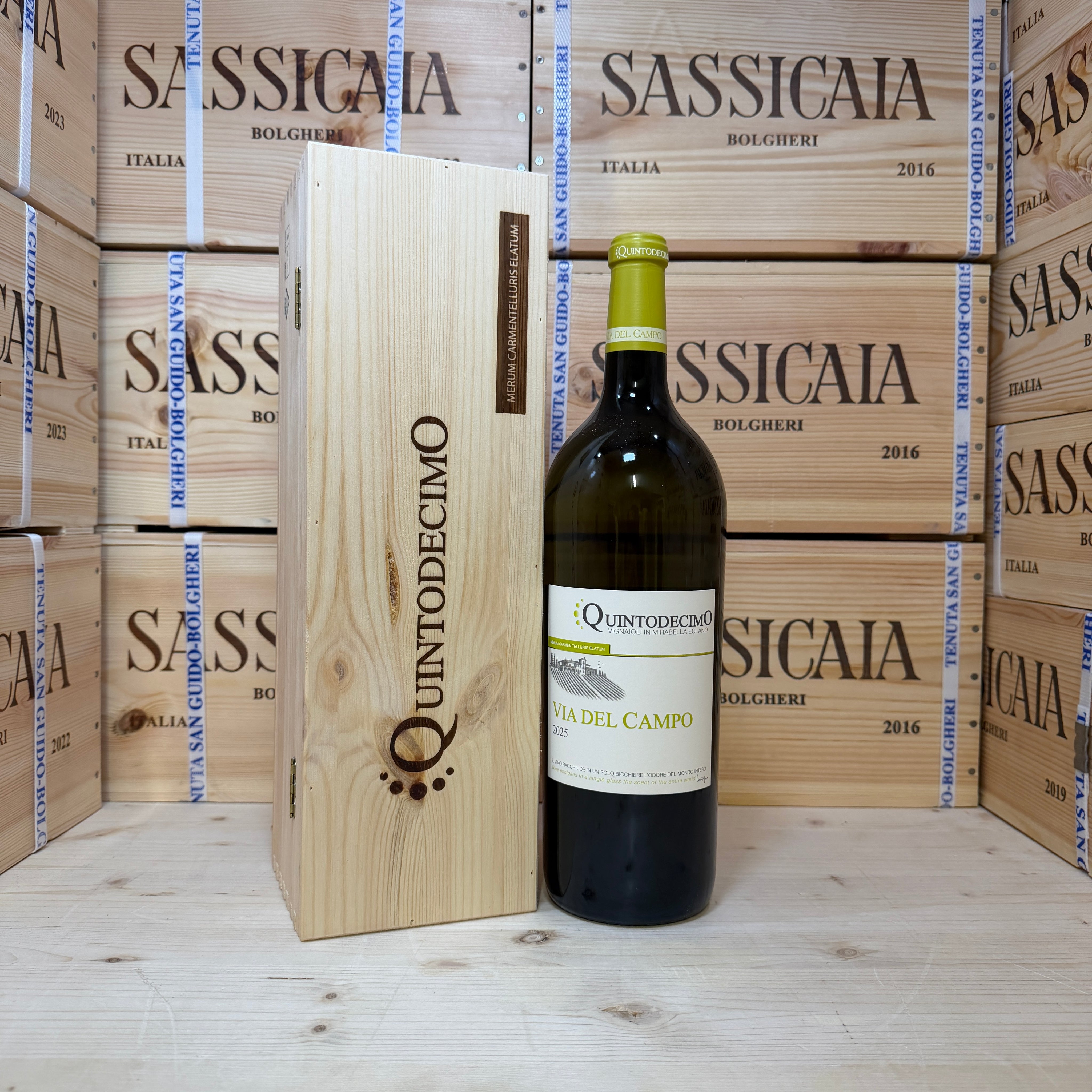 Falanghina Via del Campo 2025 Magnum Quintodecimo