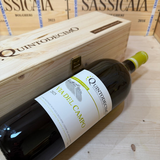Falanghina Via del Campo 2025 Magnum Quintodecimo