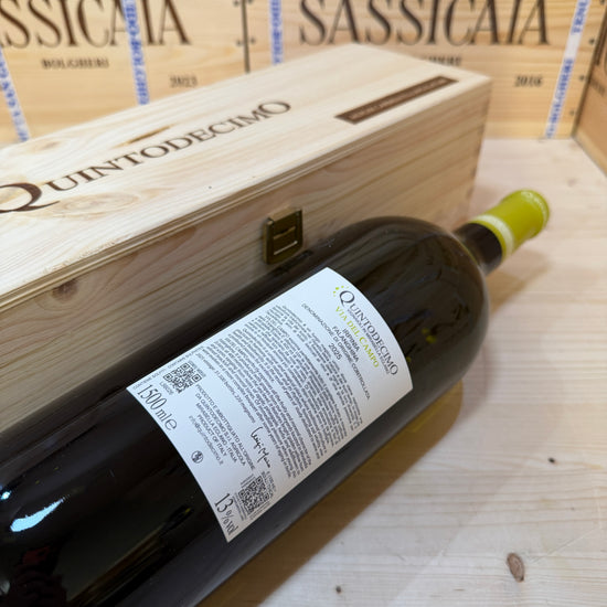 Falanghina Via del Campo 2025 Magnum Quintodecimo