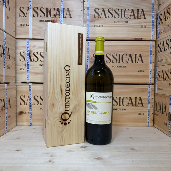 Falanghina Via del Campo 2025 Magnum Quintodecimo