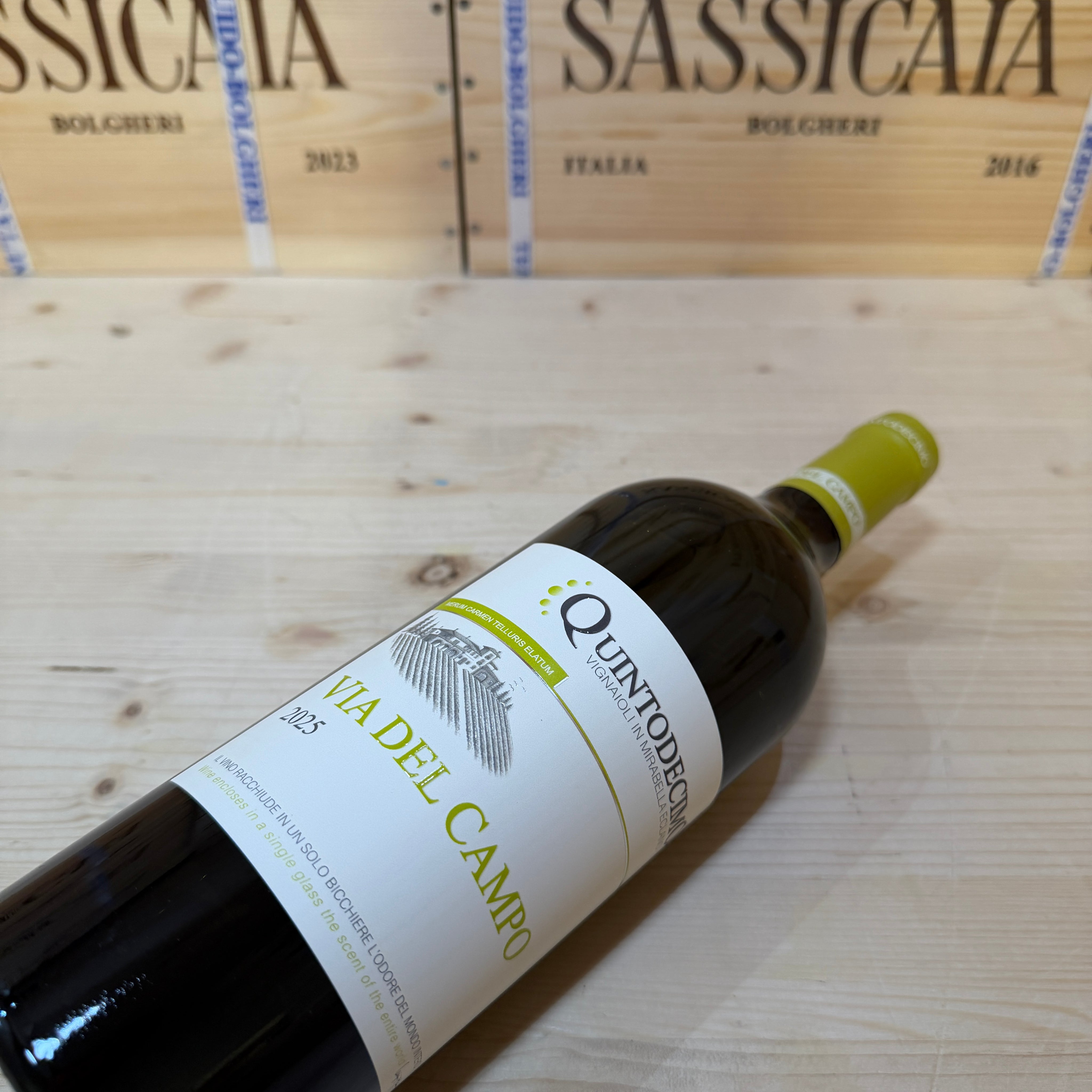 Falanghina Via del Campo 2025 Quintodecimo
