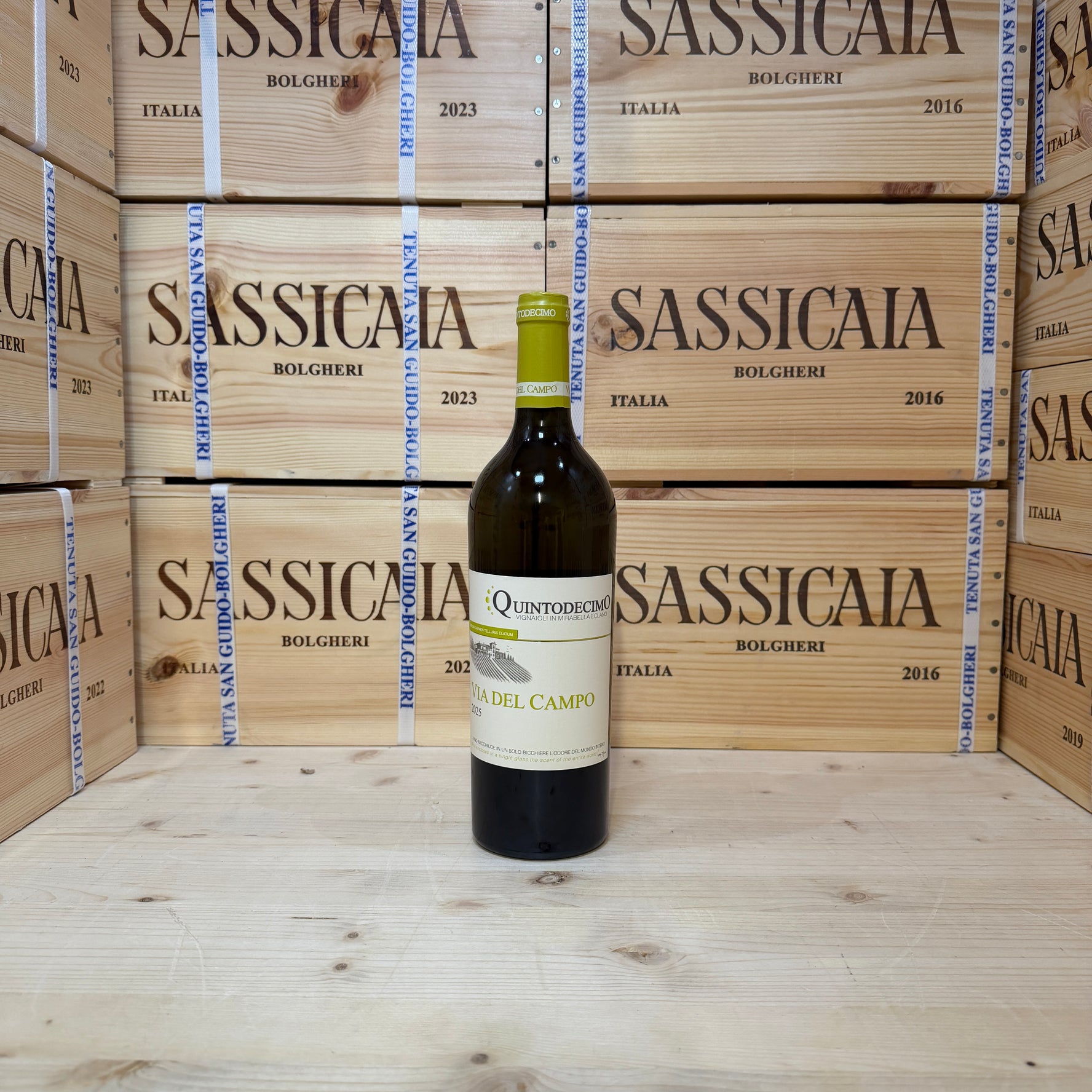 Falanghina Via del Campo 2025 Quintodecimo