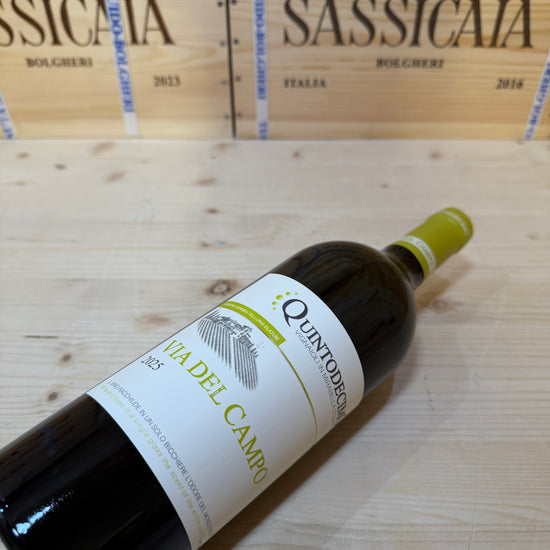 Falanghina Via del Campo 2025 Quintodecimo