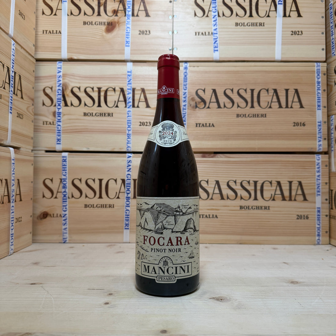 Fattoria Mancini Focara Pinot Noir 2024