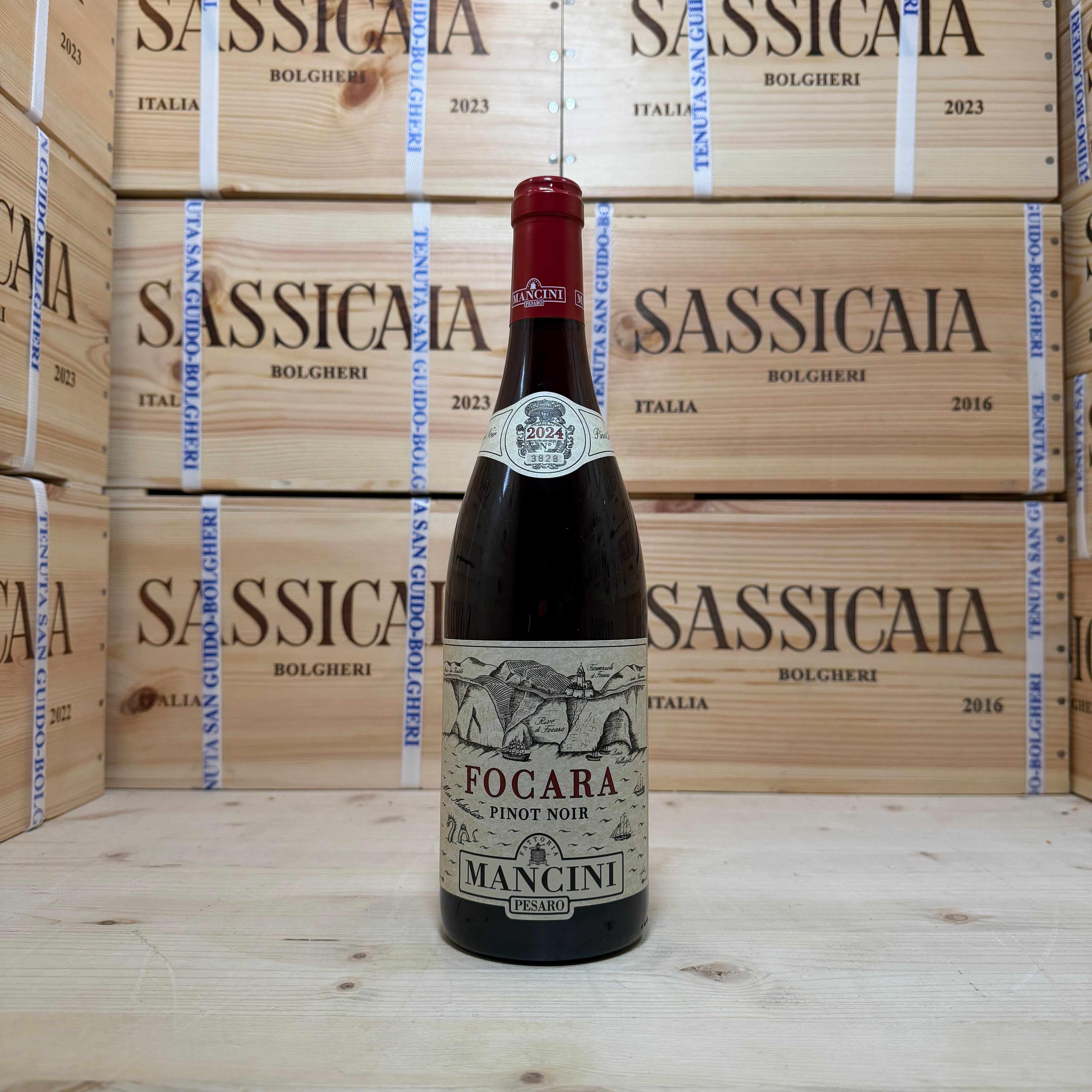Fattoria Mancini Focara Pinot Noir 2024