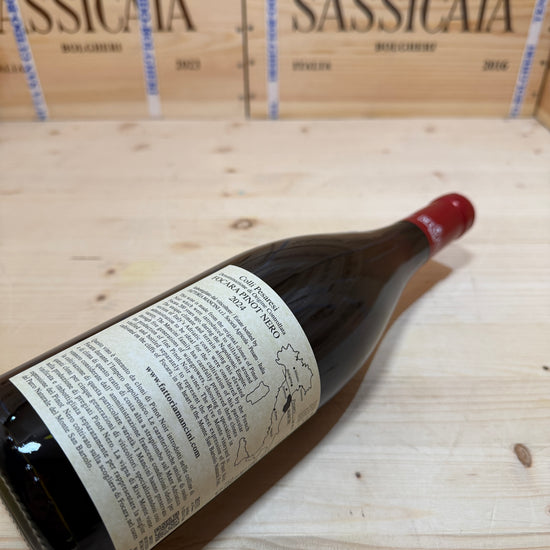 Fattoria Mancini Focara Rive Pinot Noir 2024