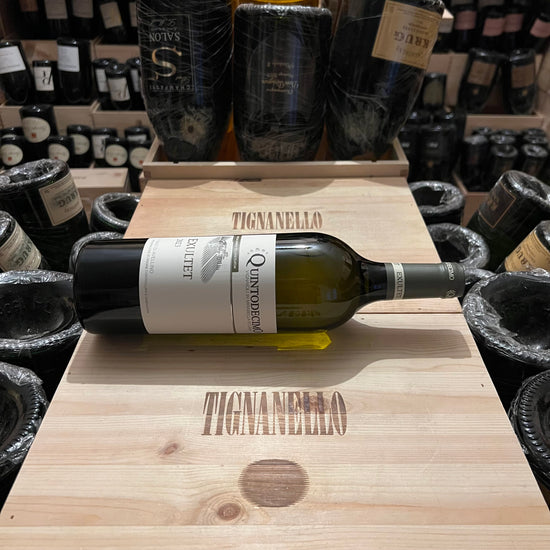 Fiano di Avellino Exultet 2023 Quintodecimo