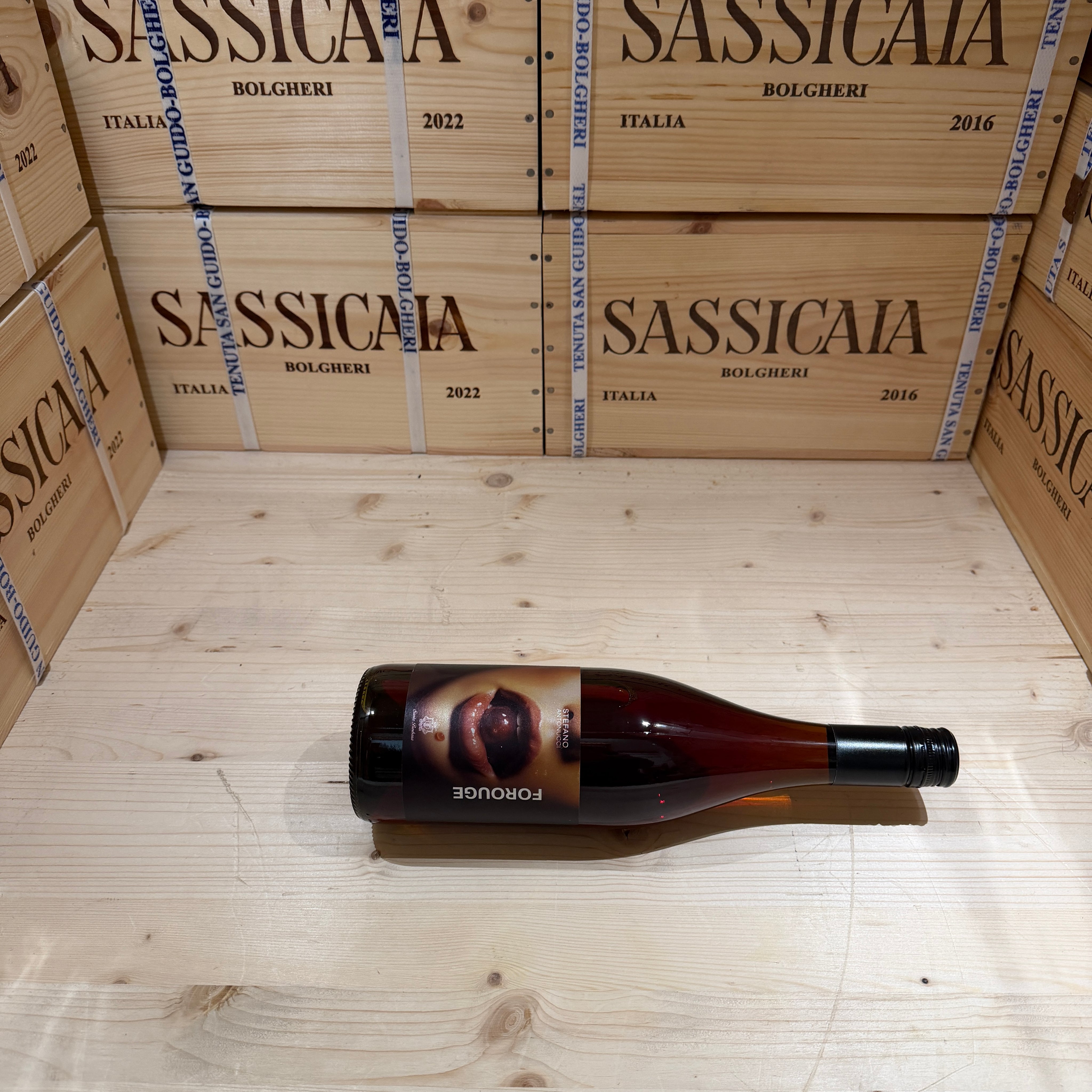 Forouge 2025 Rosso Piceno DOC Santa Barbara